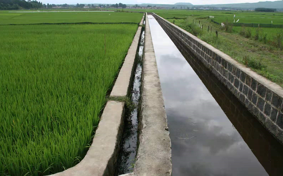 1762930139929701.png 1000.png